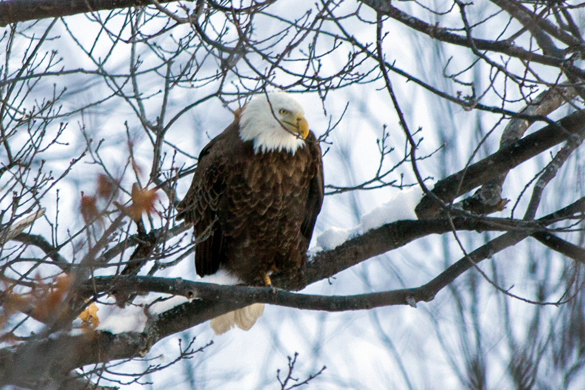 eaglepoint
