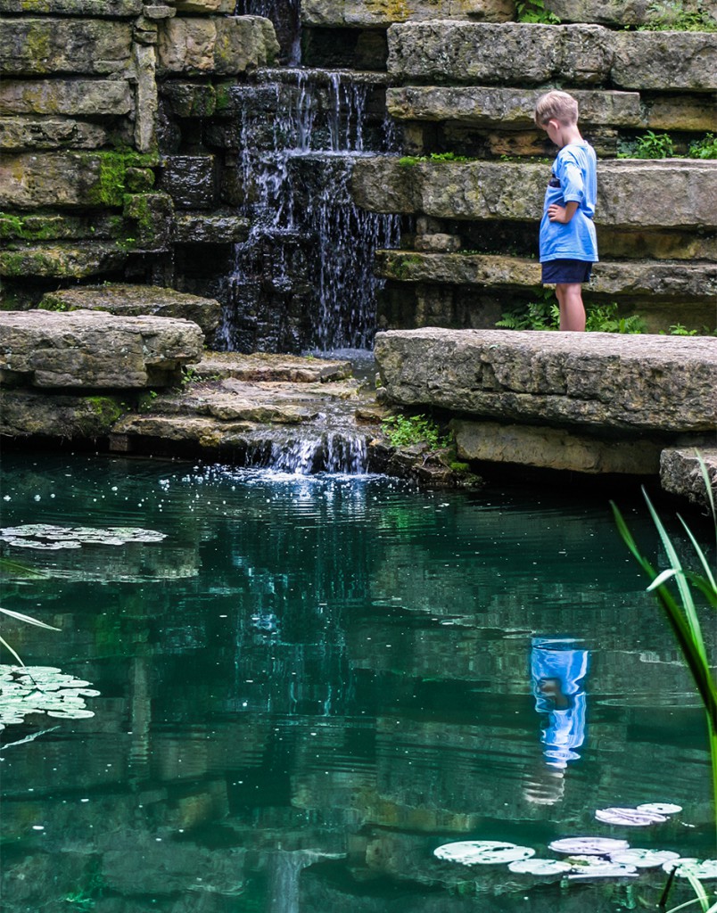 Park Fish Pond